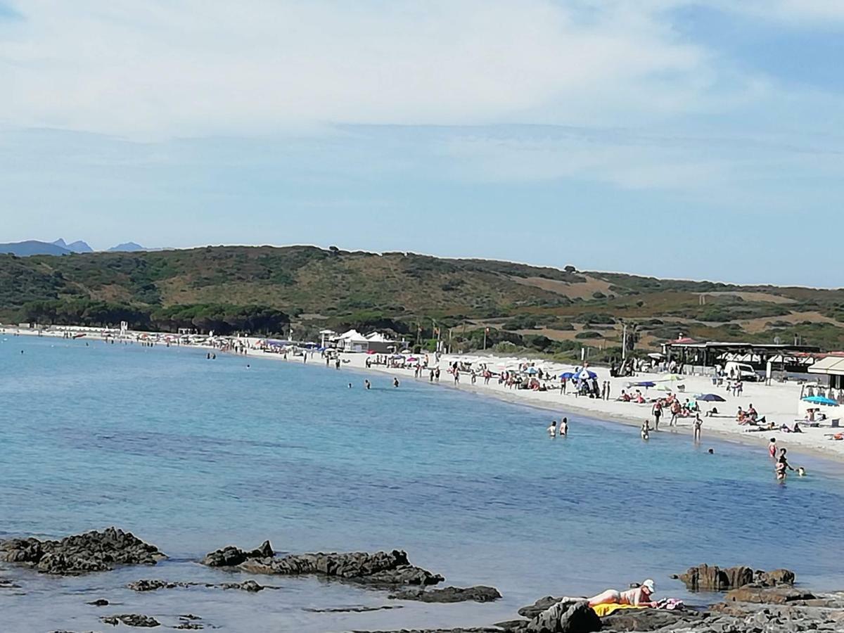 Hotel Al Mare Da Francesca Olbia Zewnętrze zdjęcie
